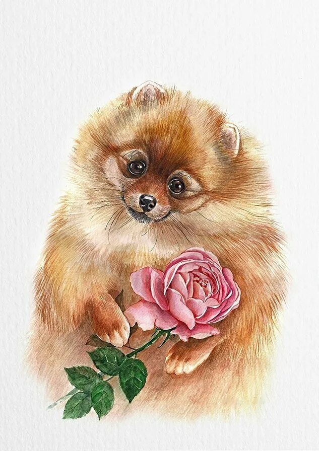 Красивые рисунки милых животных