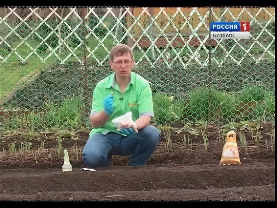Вести огородников. Агроном сад лебедянь. Вести огородников. Садоводы дачники. Поливать грядки.