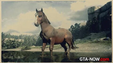 Red dead redemption 2 лошади