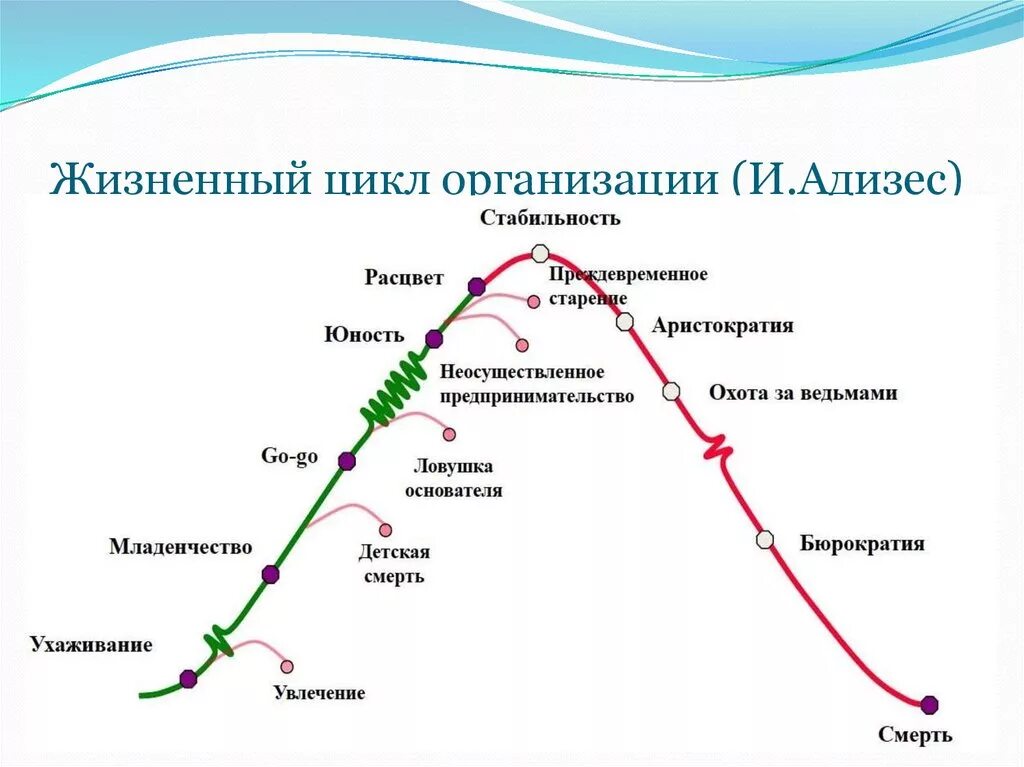 Этапы развития жизненного цикла. . этапы жизненного цикла организации адизеса. этапы жизненного цикла организации. модель и. адизеса. ицхак адизес жизненный цикл организации этапы. адизес и грейнер жизненный цикл.
