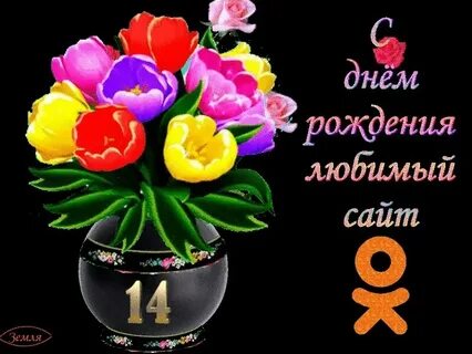 Сайт 26