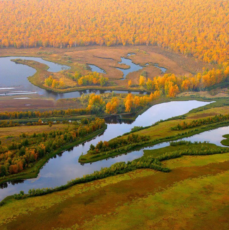 Река Обь. Река Обь Тюмень. Западно Сибирская равнина Обь. Тайга Обь. Чем отличается природа западной сибири