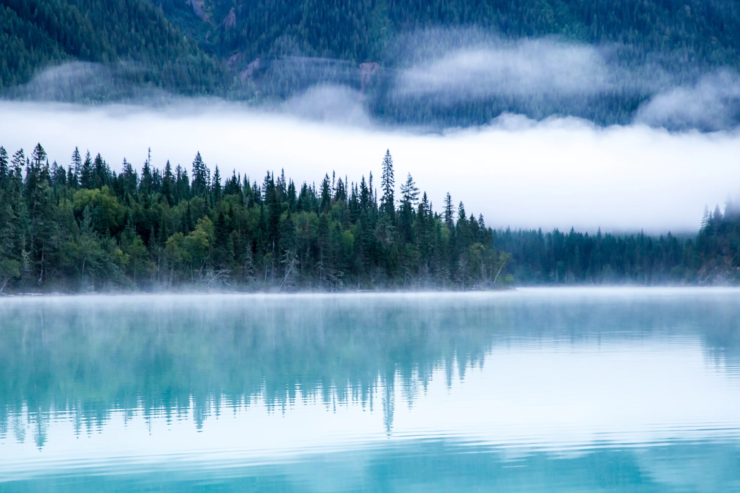 Feel lake