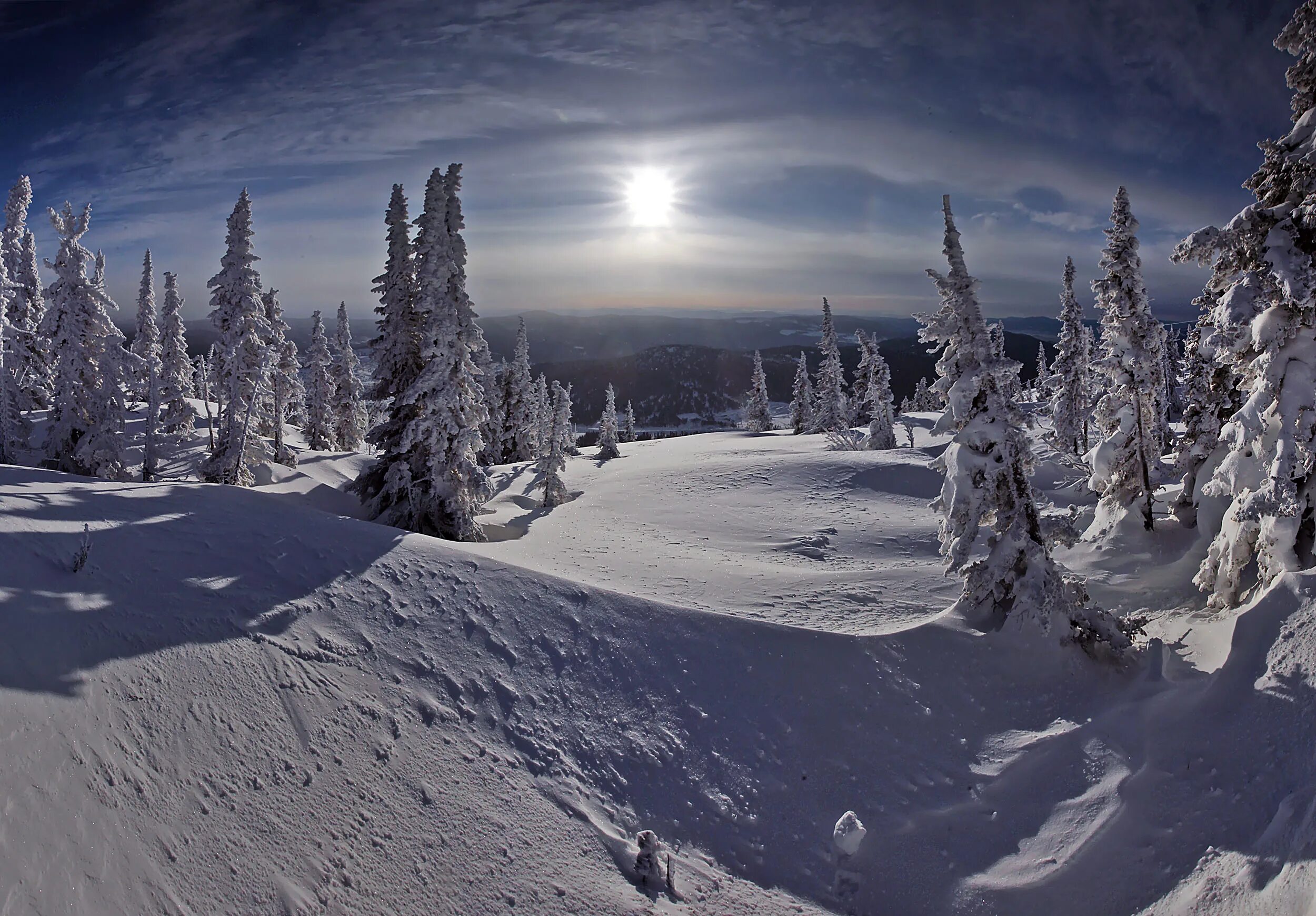 запад зима. пейзажи сибири. пейзажи сибири. пейзажи сибири. зимняя тайга.