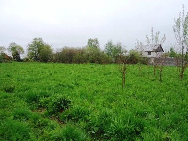 деревня порицы гатчинского района. химози гатчинский район. ижс гатчина. ижс гатчина. гатчинский район, елизаветинское с/пос, д.