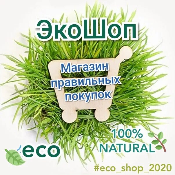 Eco товары. Эко продукция. экотовары для дома. эко продукция для дома. экотовары интернет магазин.