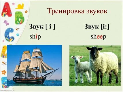 Английский язык sheep
