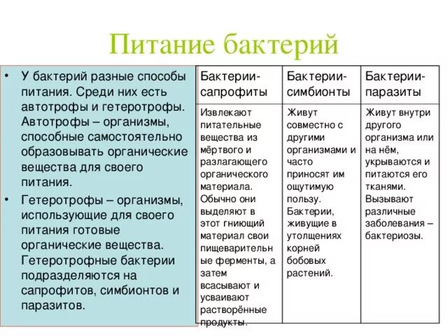 Какие различают по способу питания. Типы питания бактерий. Типы питания бактерий 6 класс. Виды питания бактерий 5 класс. Типы питания бактерий схема 5 класс биология.