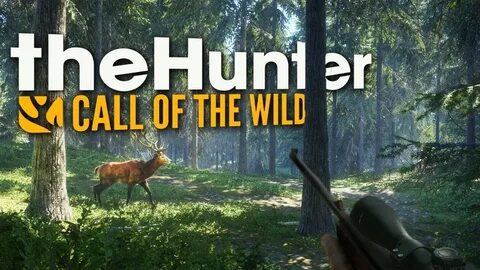 Игра вилд хантер
