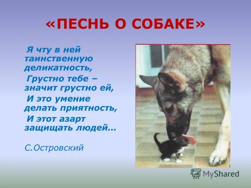 Стих есенина про собаку. Повесть о собаке есенин. Песнь о собаке есенин иллюстрации. Семерых ощенила. Есенин стих про собаку и щенков.