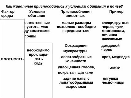 Как приспосабливаются к почвенной среде обитания
