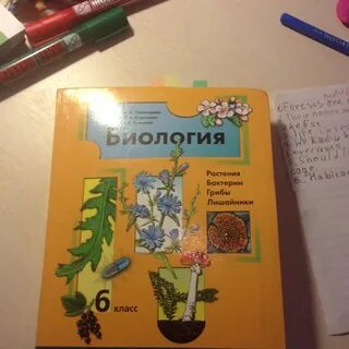 11 параграф по биологии 5 класс