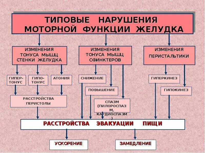 Расстройство двигательной функции. Нарушение двигательной функции желудка. Нарушение моторной функции желудка патофизиология. Нарушения моторной функции ЖКТ. Нарушение секреторной функции желудка патофизиология.