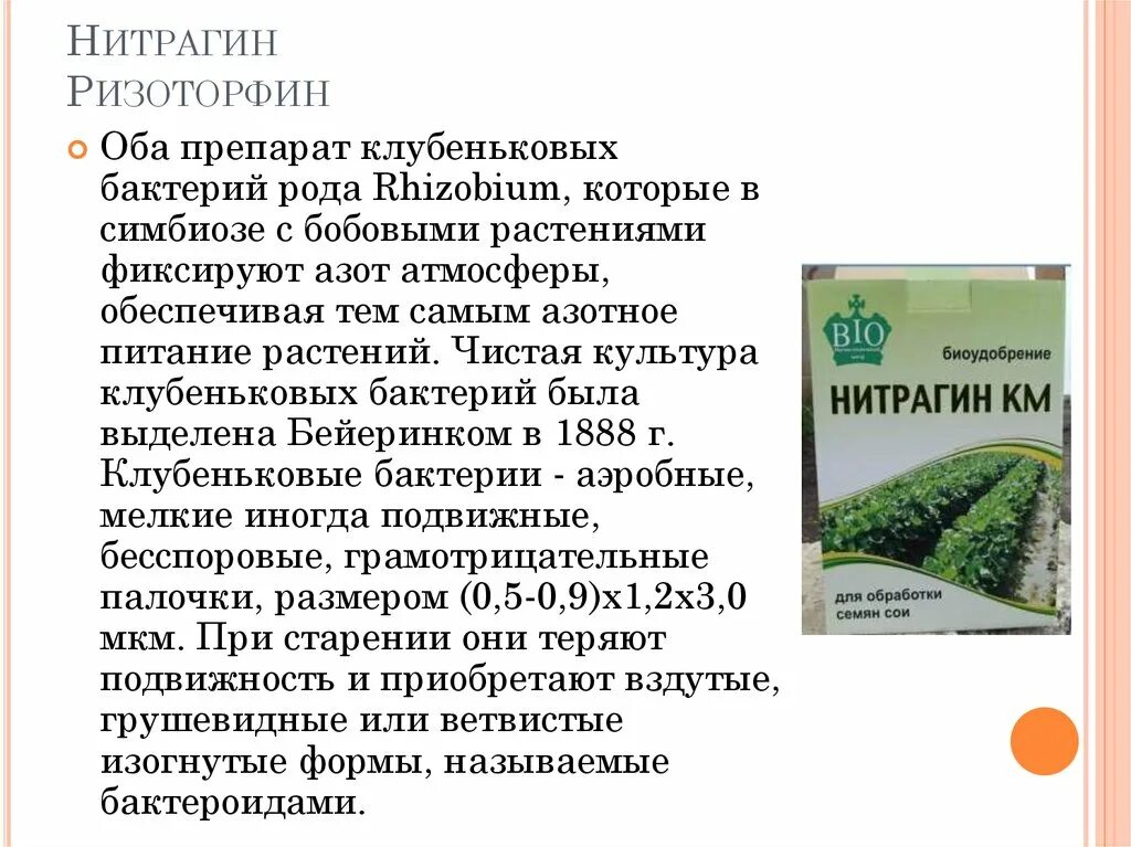 Использование бактериальных удобрений. Использование бактериальных удобрений