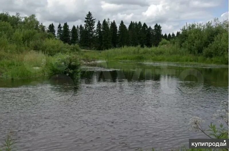 Кантат река красноярский край. Озеро кантат красноярский край. Речка кантат город железногорск красноярский край. Природа в мае у речки. Кантат река красноярский край.