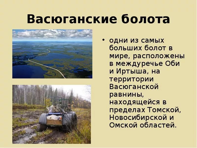 Васюганские болота, Западная Сибирь. Васюганские болота болота. Интересные факты о болотах. Васюганские болота располагаются на. Какой газ на болоте