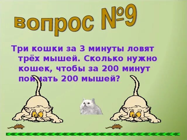 Сколько мышей необходимо чтобы