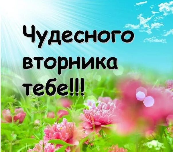 Чудесного разбор. Открытки с добрым утром вторника. Поздравление со вторником. Хорошего вторника. Фото открытки с добрым утром вторник.