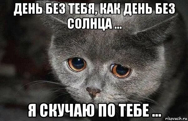День без тебя прожитый зря. 10 лет без тебя. Рингтон дни без тебя. Рингтон дни без тебя. Мне плохо без тебя картинки.