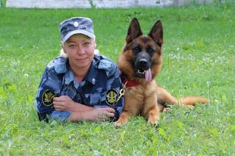 Кинолог область