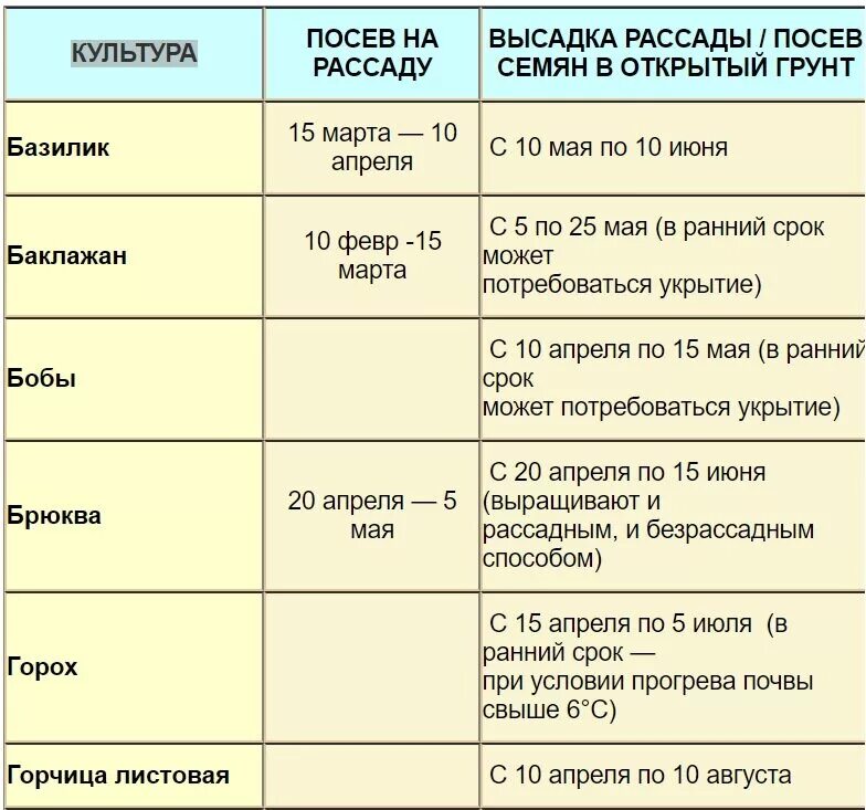 Через сколько дней взойдет капуста после посева. Сроки посева овощей на рассаду. Сроки высадки рассады овощей в открытый грунт. Сроки высадки рассады томатов в открытый грунт. Таблица посадки овощей в открытый грунт.