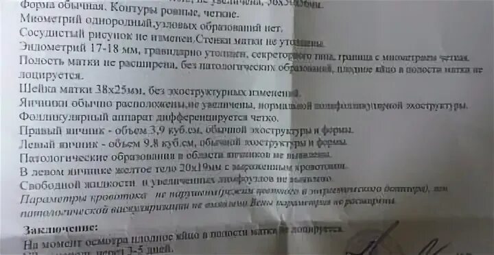 Тест положительный узи не видит. Узи при беременности отрицательный. узи и тест отрицательные. узи матки при задержке месячных. отрицательное узи на беременность.