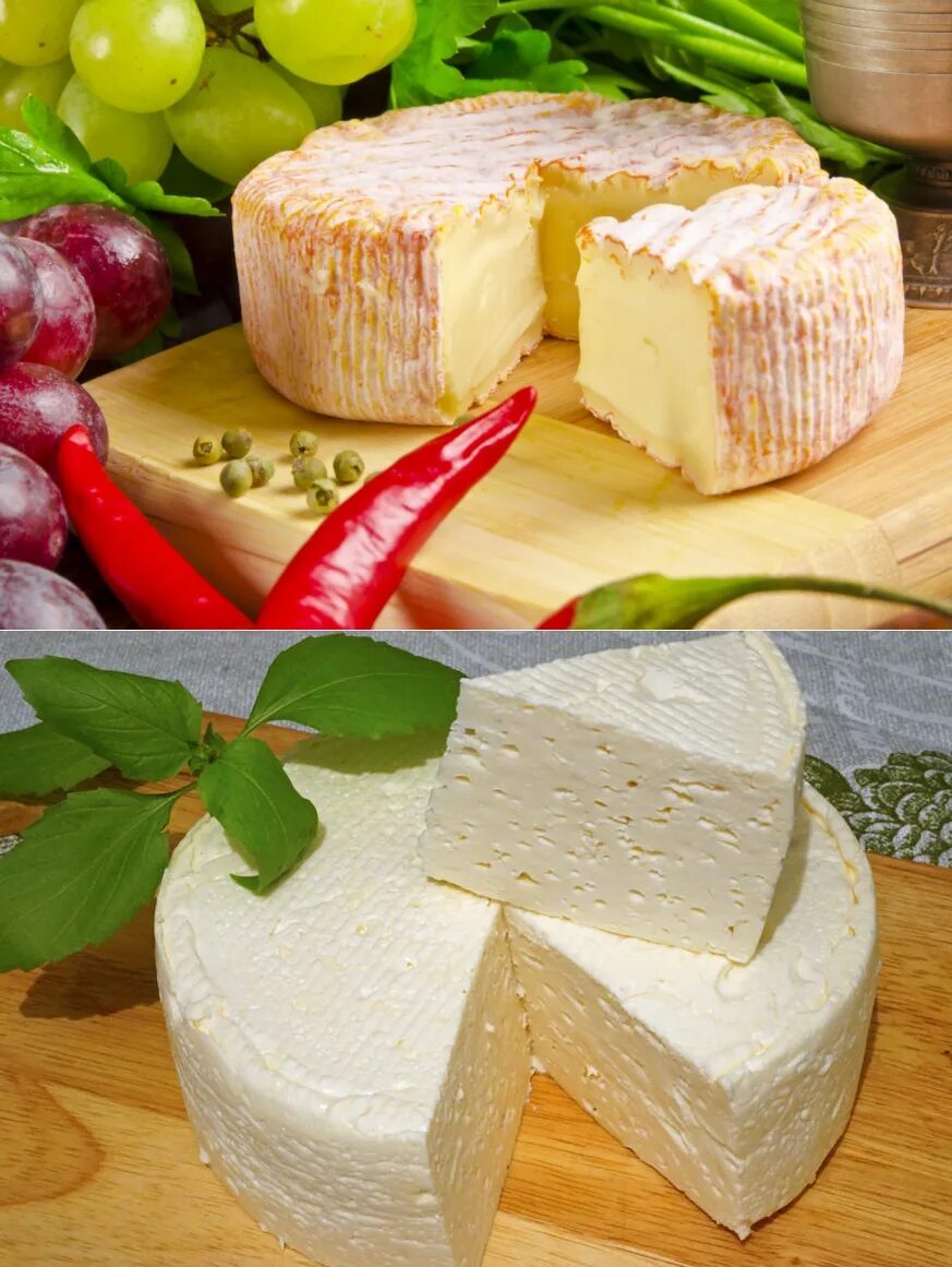 Вкусные сыры. Сырная продукция. Вкусные сыры отзывы. Сыр фермерский. Сыр российский.