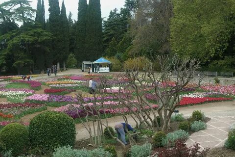 Где в крыму никитский ботанический сад