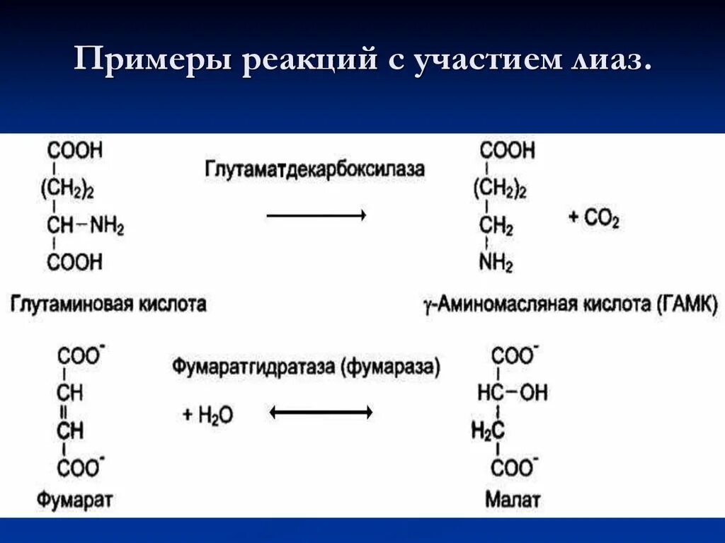 Реакция с участием фермента. ЛИАЗЫ катализируют реакции. ЛИАЗЫ подклассы. ЛИАЗЫ примеры реакций. Примеры реакций с ЛИАЗАМИ.