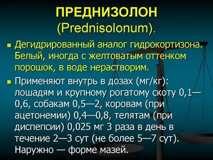Преднизолон собаке при аллергии дозировка