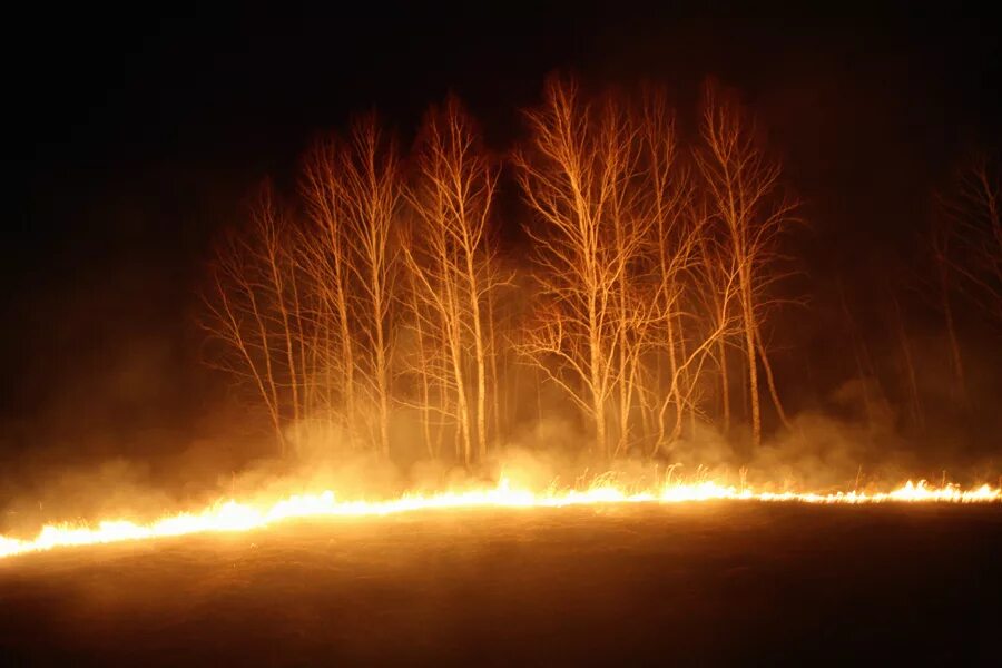Луч пал. Горящее поле. Пожар. Лесные пожары. Горящее дерево.