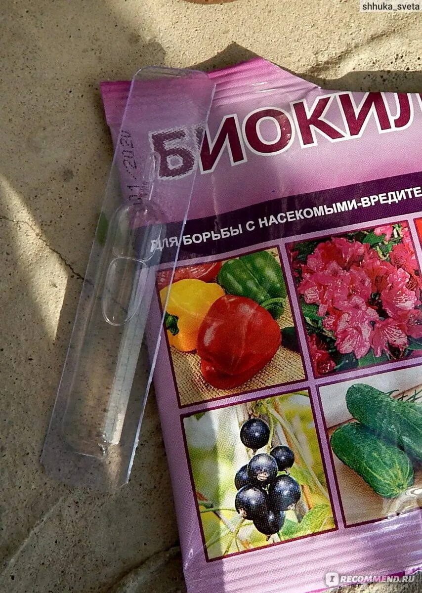 Биокилл препарат для обработки. Биокилл для борьбы с насекомыми-вредителями. Биокил отзывы. Биокилл 24 мл. Биокил отзывы.