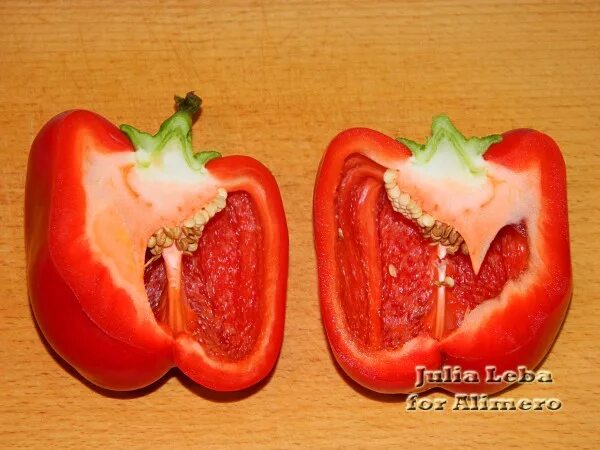 вершинная гниль на перцах. перец плесень. фузариоз баклажан. болгарский перец. перец плесень.