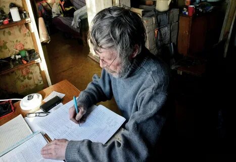Новости общества дзен