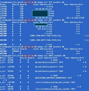 Display linux