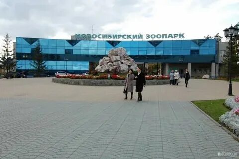 Новосибирский зоопарк режим