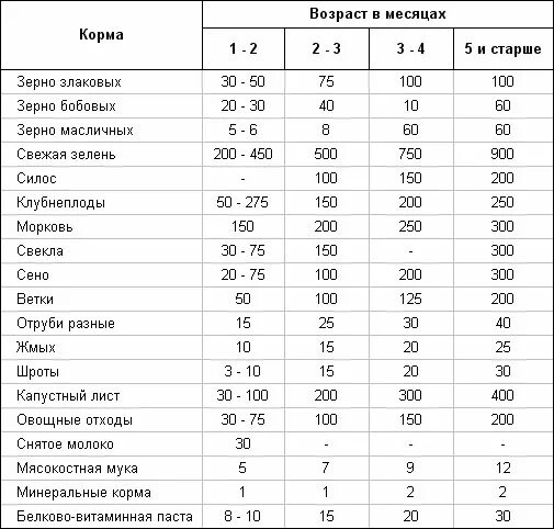 Сколько кормить кролика. Примерный рацион кормления кроликов. Норма кормления кроликов в сутки. Суточный рацион кормов для кроликов. Таблица кормления кроликов в сутки.