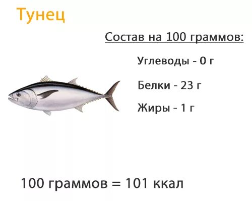 Рыба состав белки. Тунец 100 гр калорийность. Тунец энергетическая ценность в 100 гр. Состав рыбы белки жиры углеводы витамины. Тунец калорийность БЖУ.