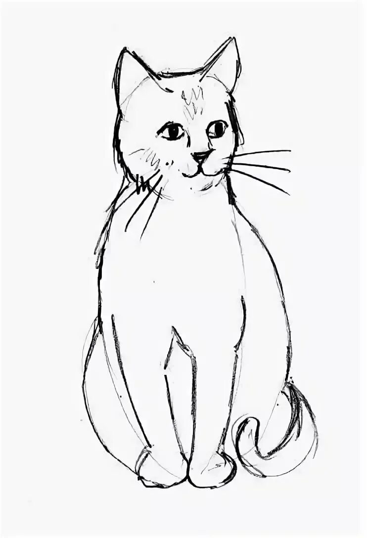 Картинки кошек рисовать. Легкие рисунки. Рисунок карандашом лёгкий для срисовки. Рисунки карандашом для срисовк. Рисунки котов.