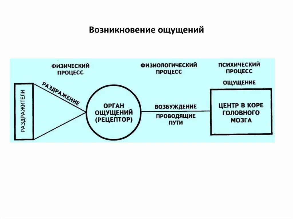 Возникновение процесса чувства. Возникновение процесса чувства. Процесс возникновения ощущений. Последовательность возникновения ощущений. Схема возникновения ощущений в психологии.