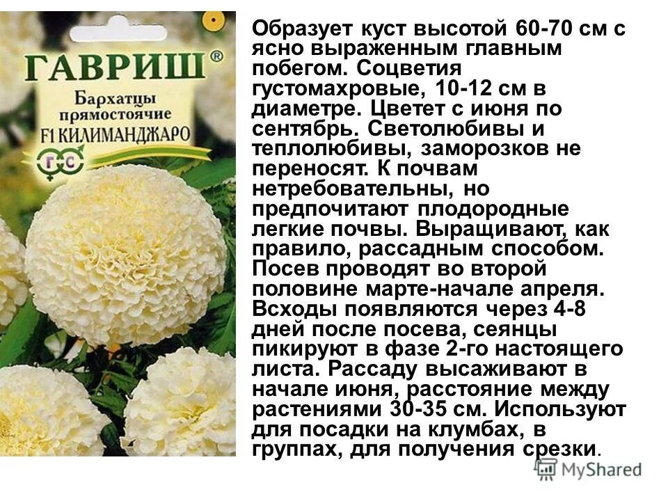 Практическая работа искусственный отбор и его результаты. Лабораторная работа изучение результатов искусственного отбора. Результаты искусственного отбора на сортах культурных растений. Движущие силы эволюции и механизм возникновения приспособлений. Лабораторная работа изучение результатов искусственного отбора.