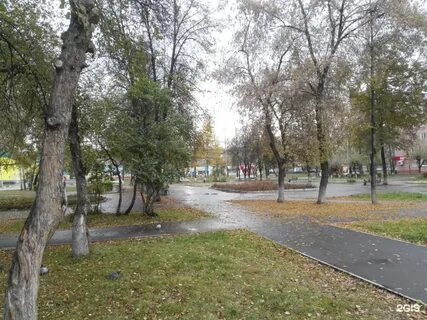 Куда сходить в новокузнецке