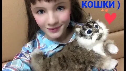 Кошки юле