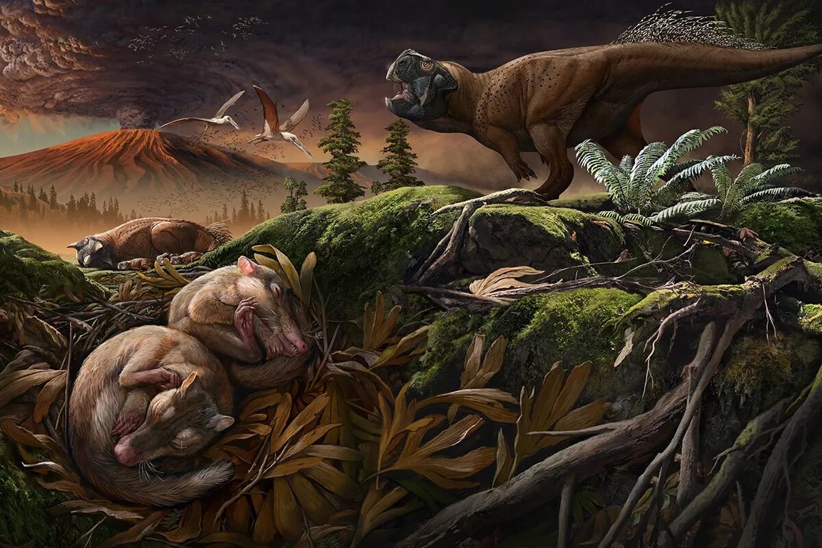 Какое первое живое существо на земле. Меловой период вымирание динозавров. Меловой период мезозойской эры. Меловое-Палеогеновое вымирание. Вымирание динозавров период мезозоя.