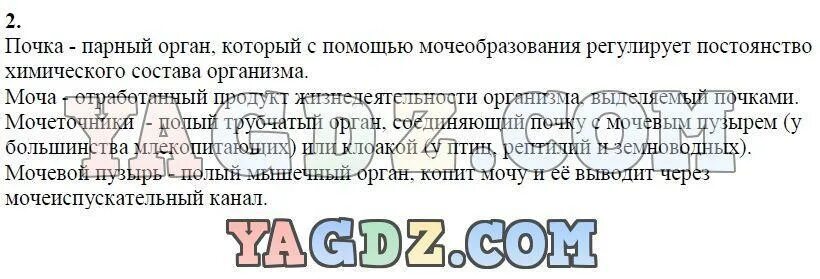 Биология 7 класс латюшин конспекты параграфов. Конспект по биологии 7 класс класс. биология 7 класс параграф 7. биология 7 клак сонспект. биология 7 класс конспекты.
