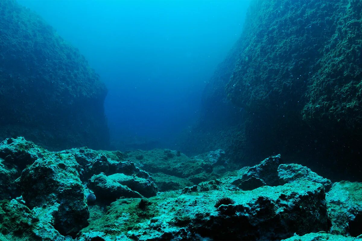 В глубь океана. Риф Сильфра Исландия. Дно океана. Морское дно. Дно моря.