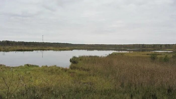 щучье озеро пермский край октябрьский район. щучье озеро пермский край школа. станция щучье озеро. щучье озеро октябрьский район. щучье озеро московская область егорьевский район.