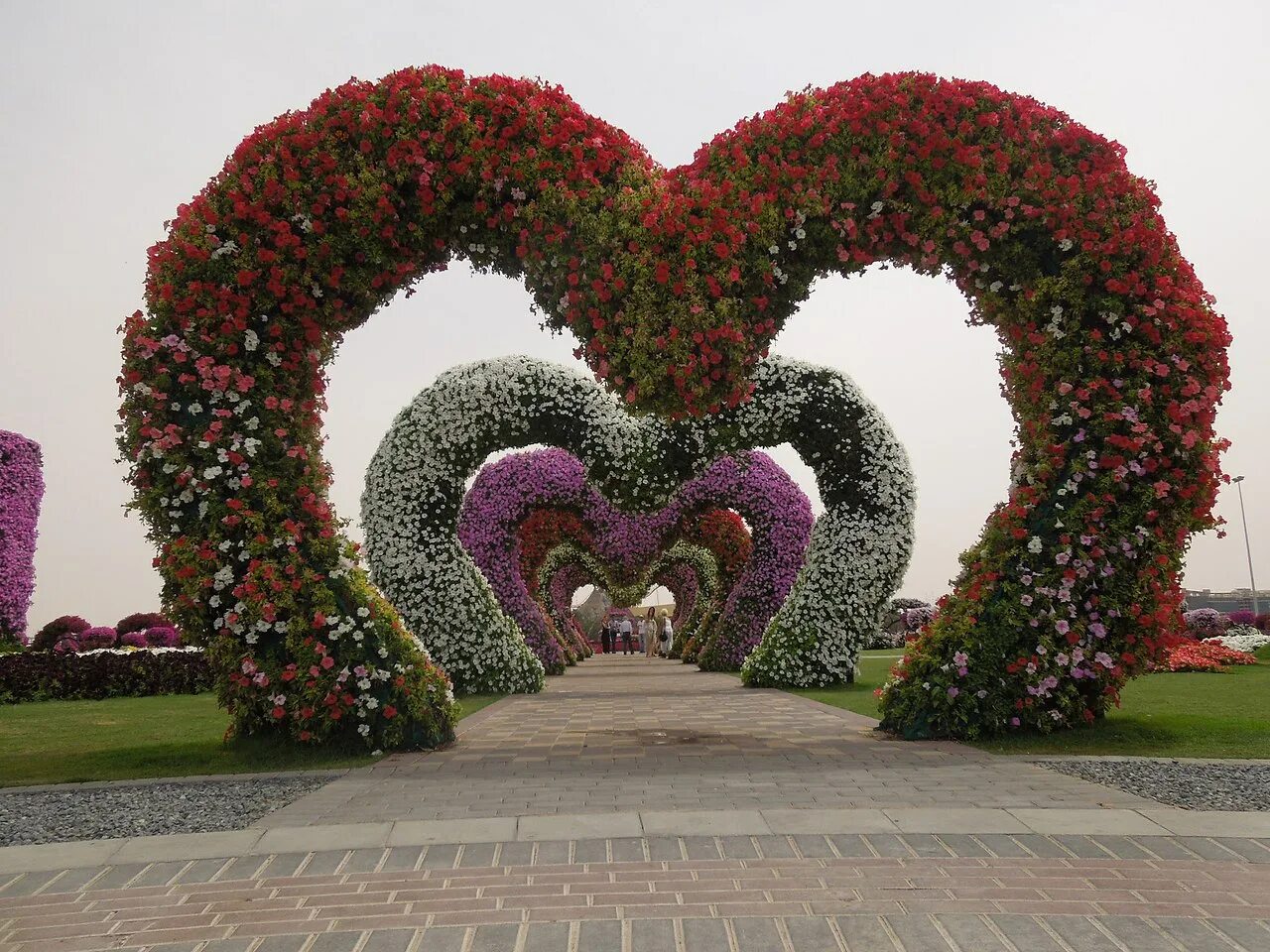 Флауэрс гарден парк дубай. Цветы в виде сердца. Сердце из роз. Сердечко из роз. Сердечко из цветов.