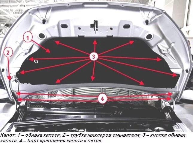 Элементы капота. Капот XRAY.