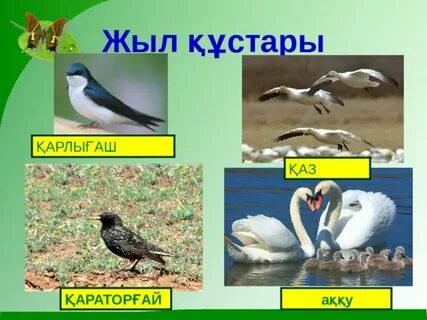 Мен мастурбация жасап жатқанда келдім.